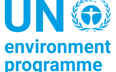 Partnership Advisory Group meeting 11